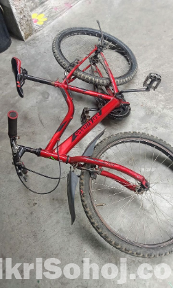 PHOENIX CYCLE (24 inch)