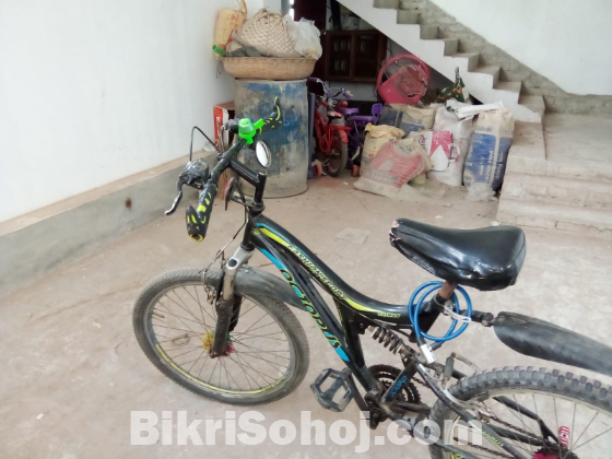 বাইসাইকেল