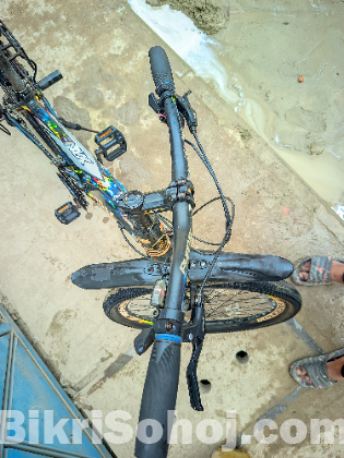 Phoenix Fress cykle full aloybody