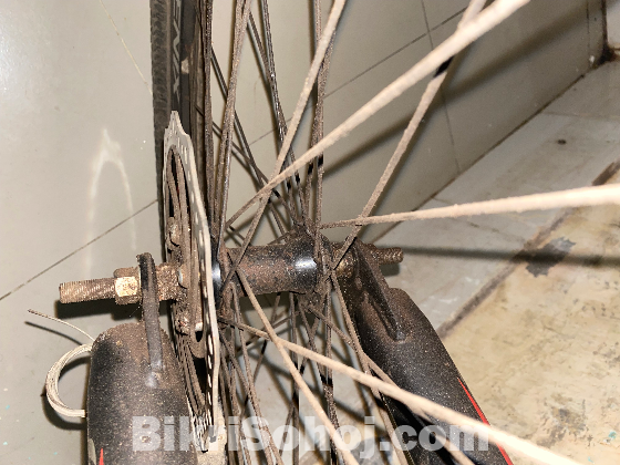 Phoenix Bicycle For Sale