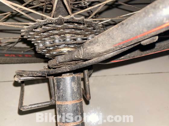 Phoenix Bicycle For Sale