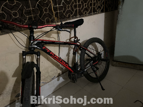 Phoenix Bicycle For Sale