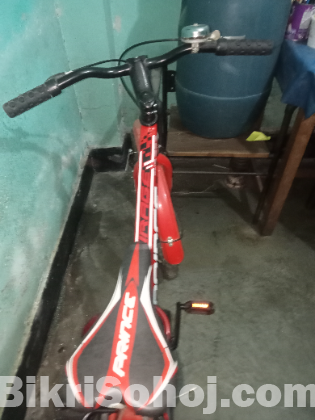 25 size two seater cycle