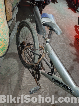 বাইসাইকেল