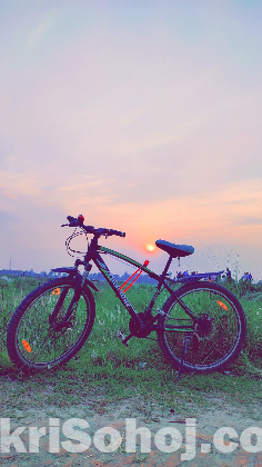 Bicycle. Duranta muscular 26 for urgent sale