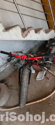 ফেট সাইকেল