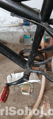 ফেট সাইকেল