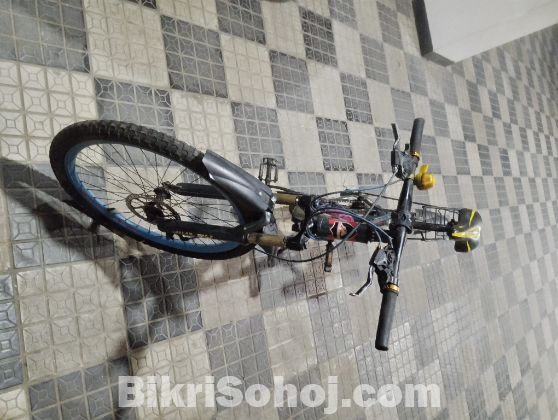 দুরন্ত বাইসাইকেল
