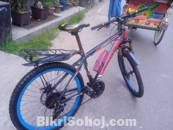 দুরন্ত বাইসাইকেল