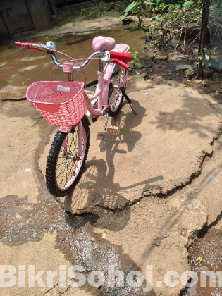 চমৎকার কন্ডিশনে কিউট পিঙ্ক বাচ্চাদের সাইকেল (Kiesel Brand)