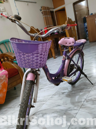 ফিনিক্স লেডিস বাইসাইকেল