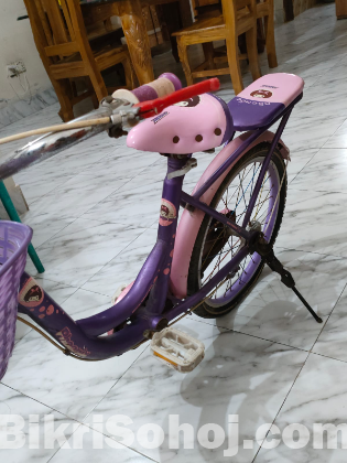 ফিনিক্স লেডিস বাইসাইকেল