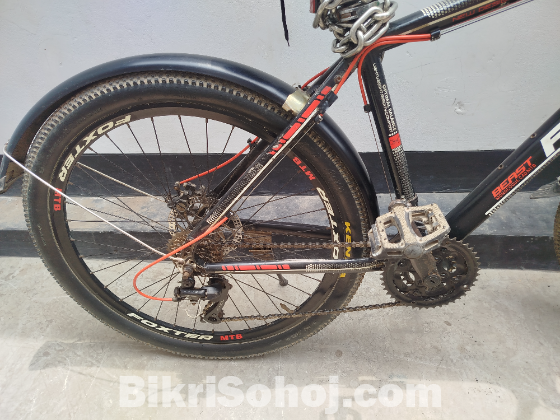 Foxter cycle  26