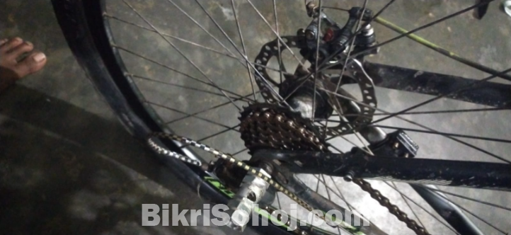 Lion cycle