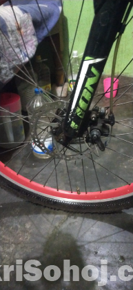 Lion cycle