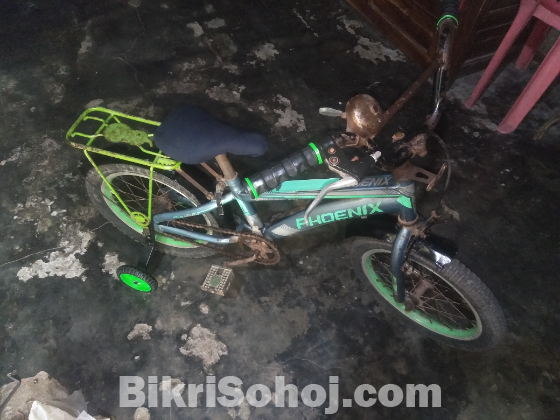 ১৬ নাম্বার সাইকেল