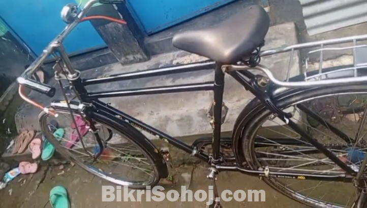 ফনিক্স ২৮