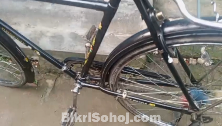 ফনিক্স ২৮