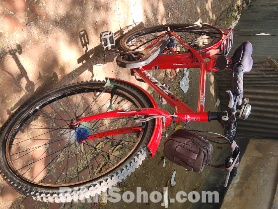 Bicycle for sell
