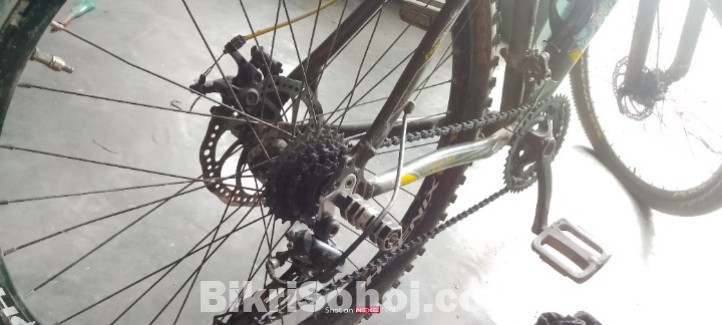 ফোনিক্স (কুল ২৬) বাইসাইকেল