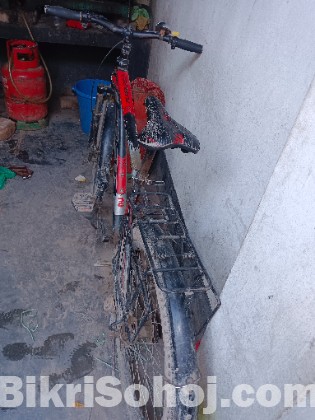 ফোকাস রানিং সাইকেল অ্যালুমিনিয়াম