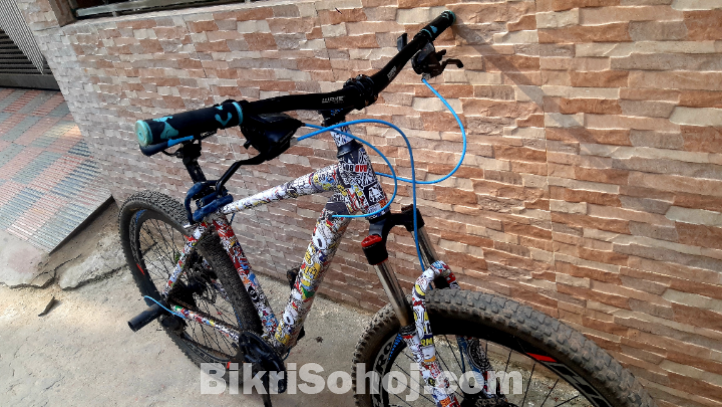 Hero Rodeo(Custom Build)bycycle
