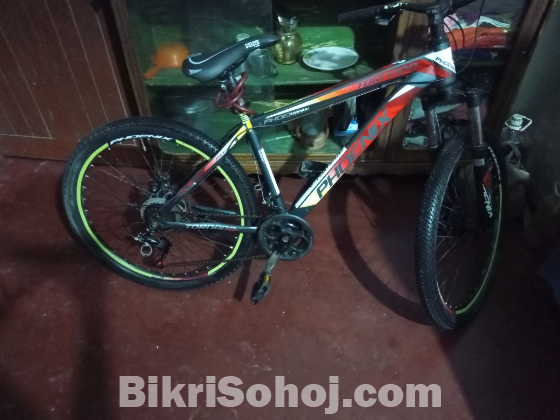 Phoenix New Condition Bycicle