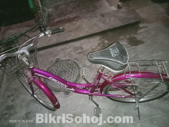 Ladies Bicycle