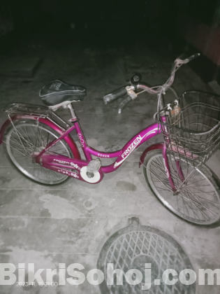 Ladies Bicycle