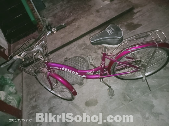 Ladies Bicycle