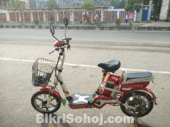 electric cycle sale