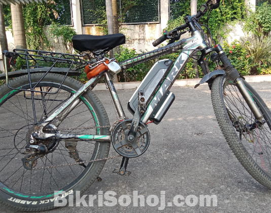 Electric bicycle