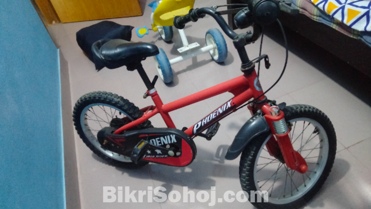 Phonenix Kids Bicycle