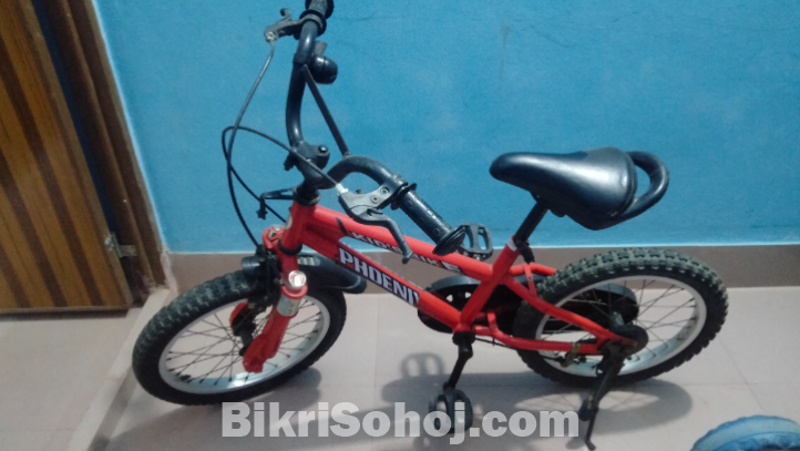 Phonenix Kids Bicycle