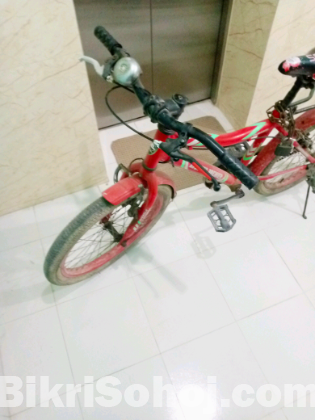 Duronto bicycle for sale 