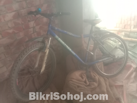 Bicycle