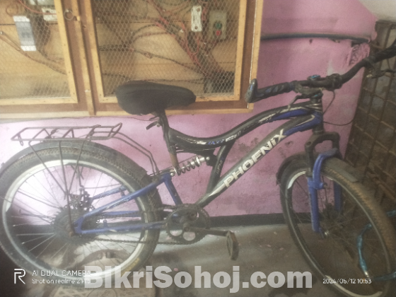 Phonix cycle