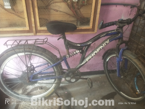 Phonix cycle