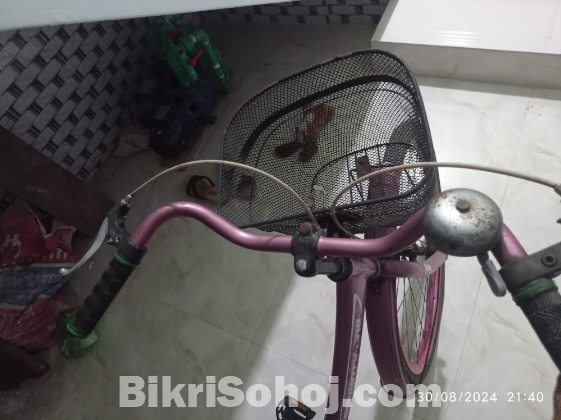 লেডিস সাইকেল