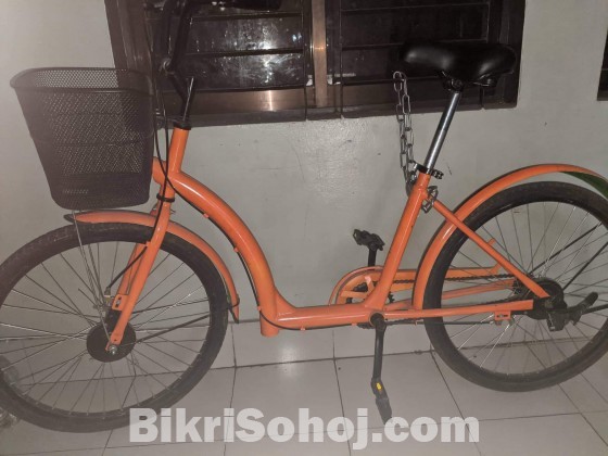 Imported Share Bike | Tubeless Technology