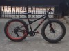 Fat bike