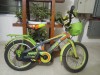 Phonix bicycle for kids