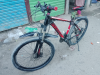 Phoenix Cycle