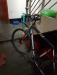 Phonis bicycles