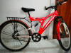 Phoenix fire bird cycle for sale