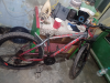 Phoenix cycle
