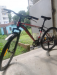 Duranta Scorpion plus 26