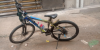Phoenix cycle