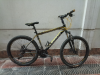 Phoenix cycle