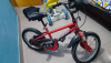 Phonenix Kids Bicycle